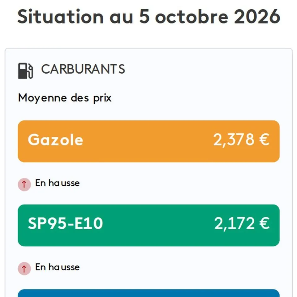 Infographie franceinfo : Prix des carburants station par station